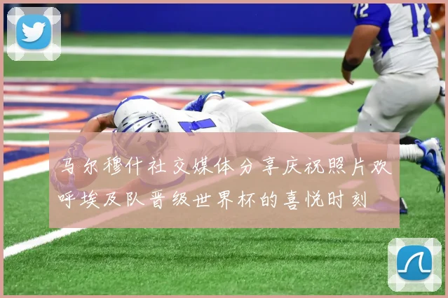 马尔穆什社交媒体分享庆祝照片欢呼埃及队晋级世界杯的喜悦时刻