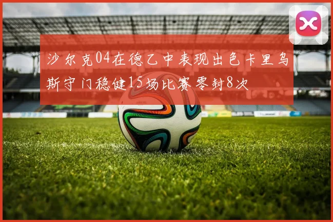 沙尔克04在德乙中表现出色卡里乌斯守门稳健15场比赛零封8次