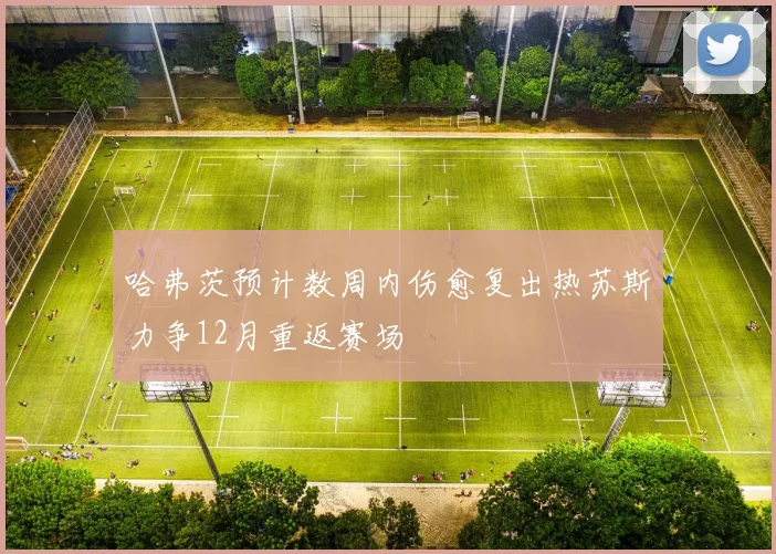 哈弗茨预计数周内伤愈复出热苏斯力争12月重返赛场